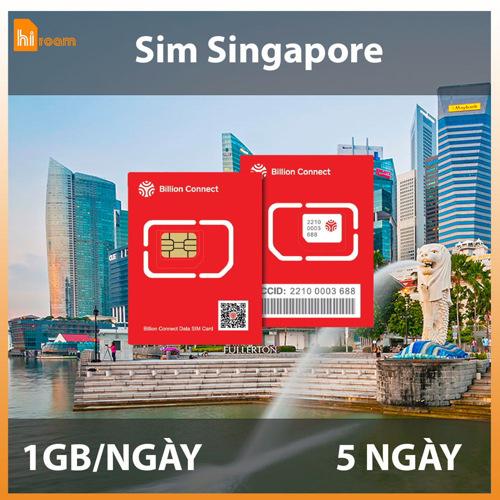 Sim Singapore